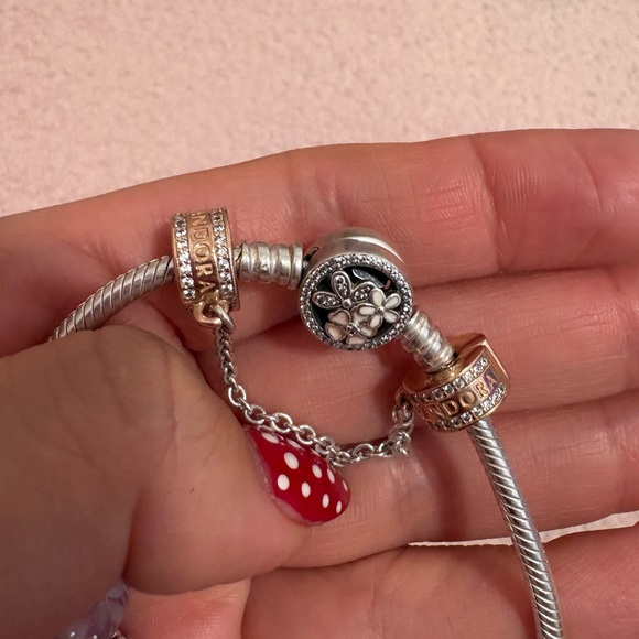 Pandora Charm Bracelet 💎 - Picture 3 of 6